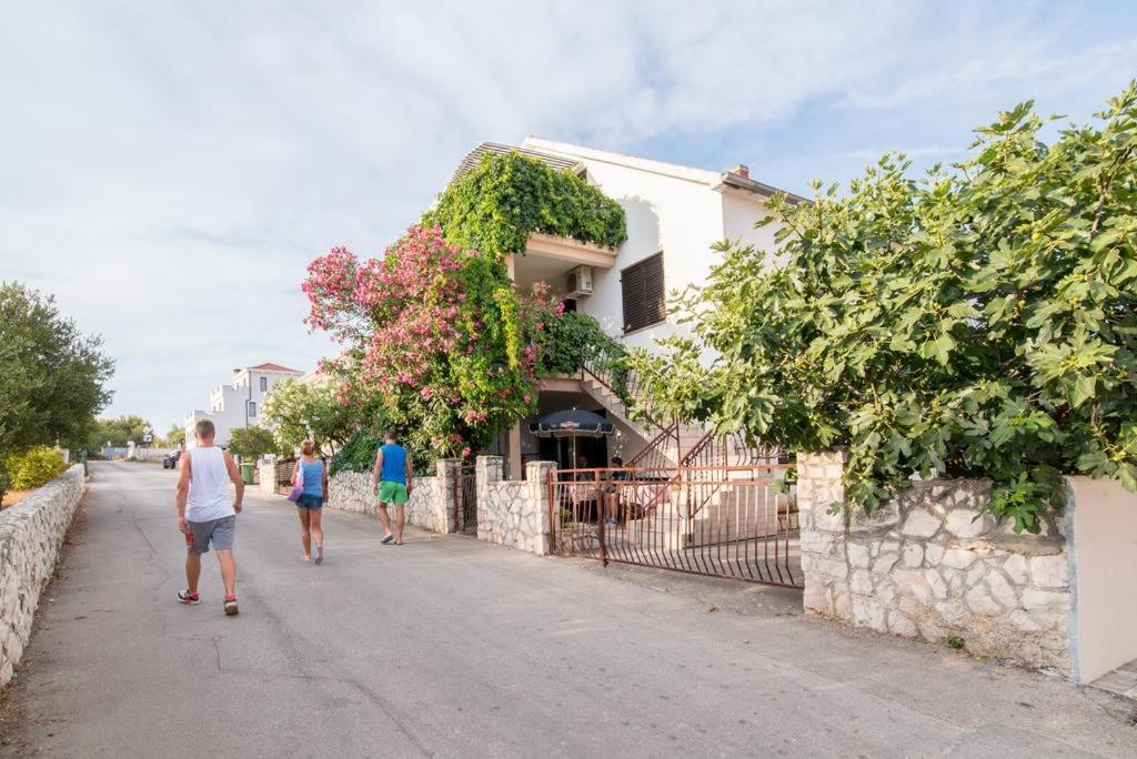 Fidelis * Trogir
